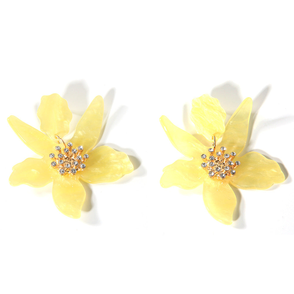 Classic Earring with Timeless Appeal