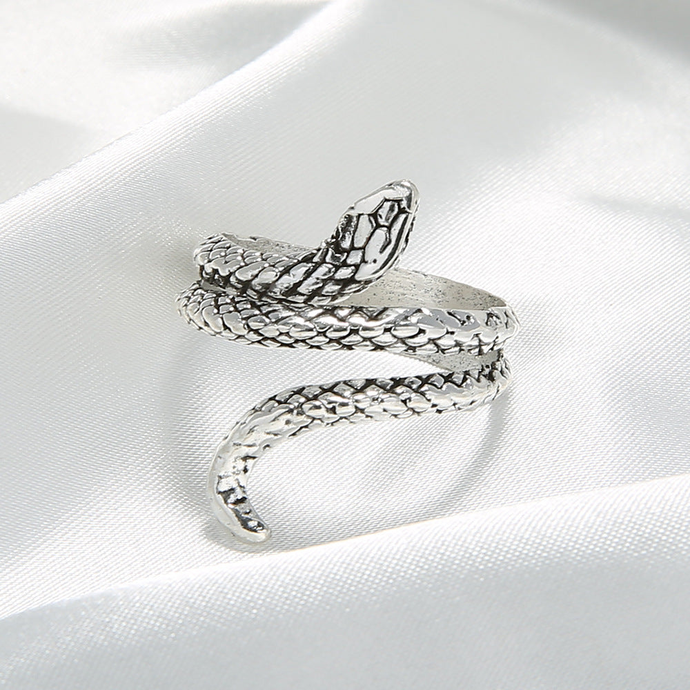 Beautiful Silver Ring with Unique Style