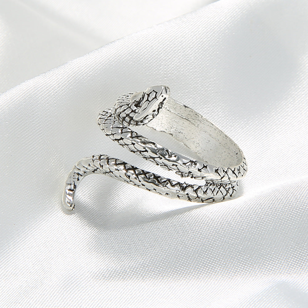 Beautiful Silver Ring with Unique Style