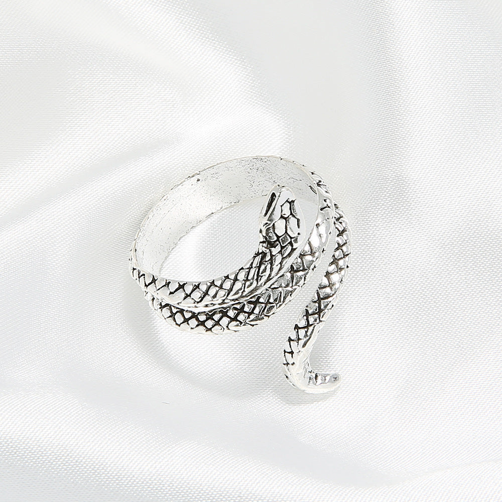 Beautiful Silver Ring with Unique Style