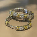 Bright Silvered Hoop Earrings