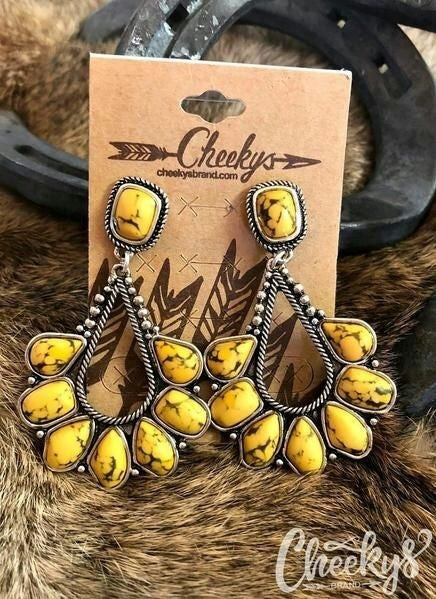Charming Earring for Any Occasion