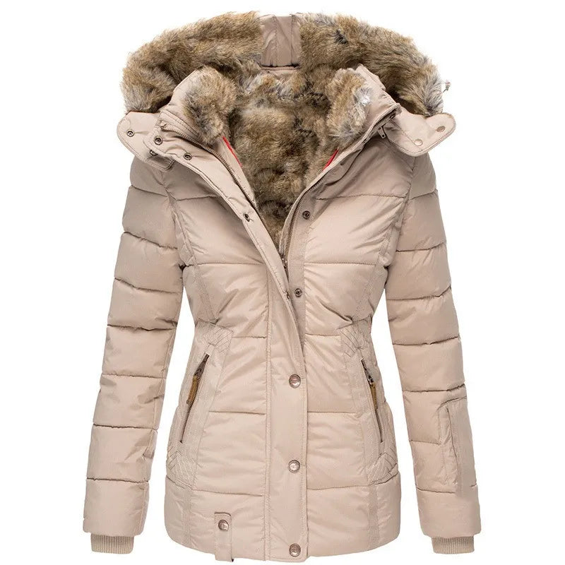 Gracefully Designed Jacket