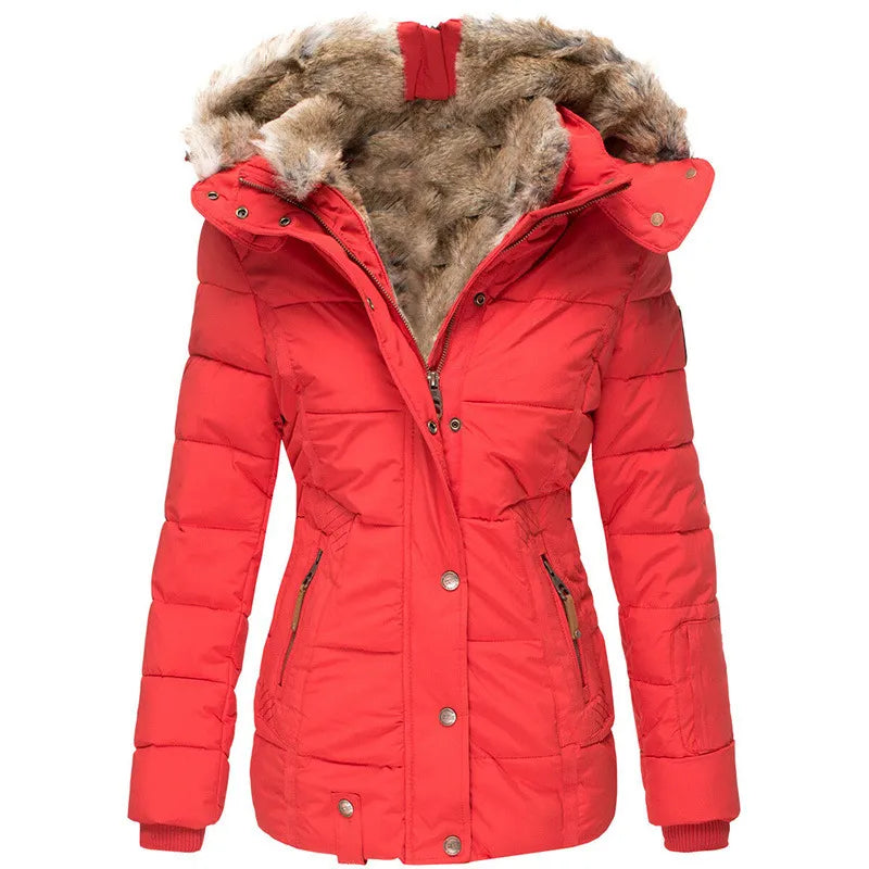 Gracefully Designed Jacket