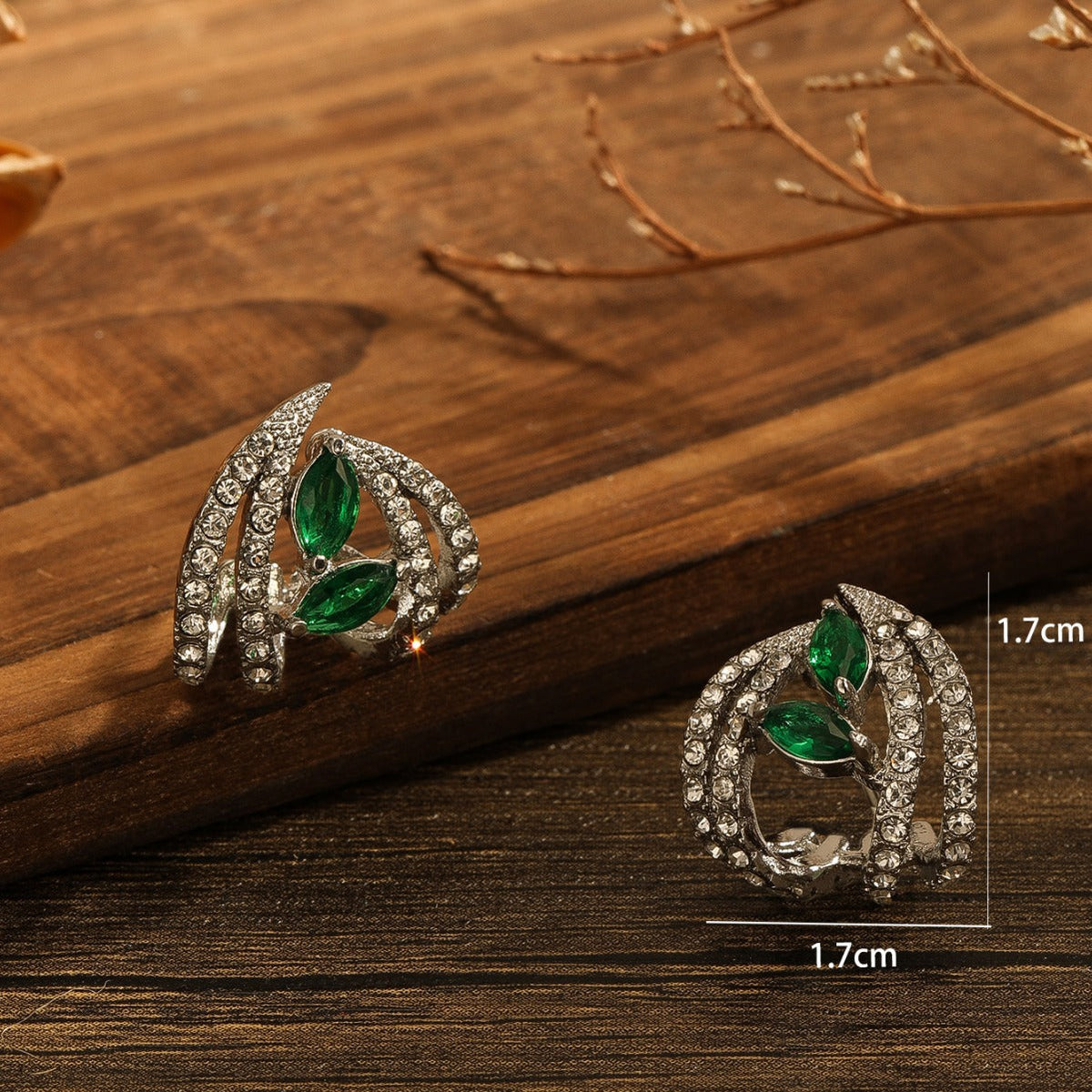 Beautiful Earring with Unique Style