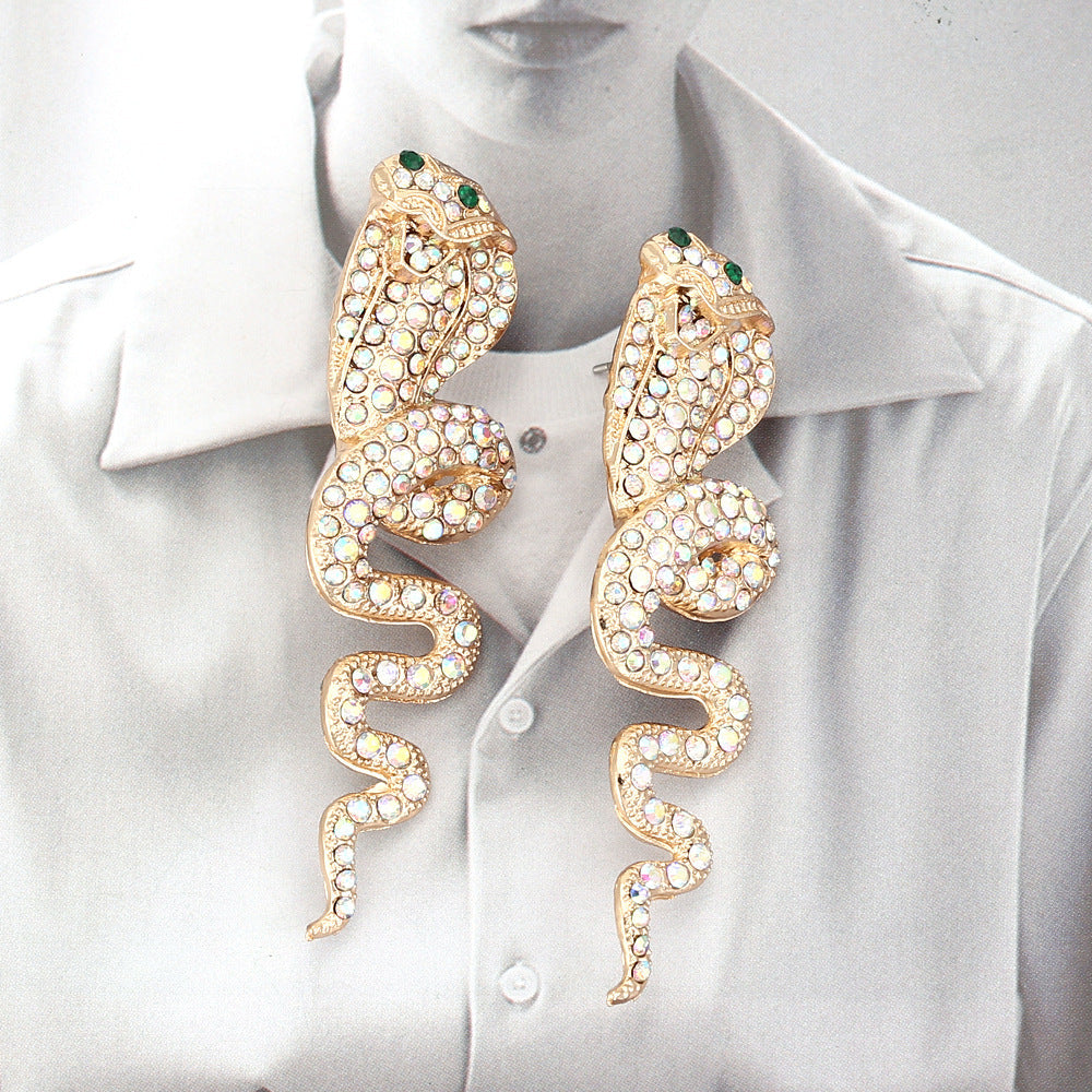Classic Earring with Timeless Appeal