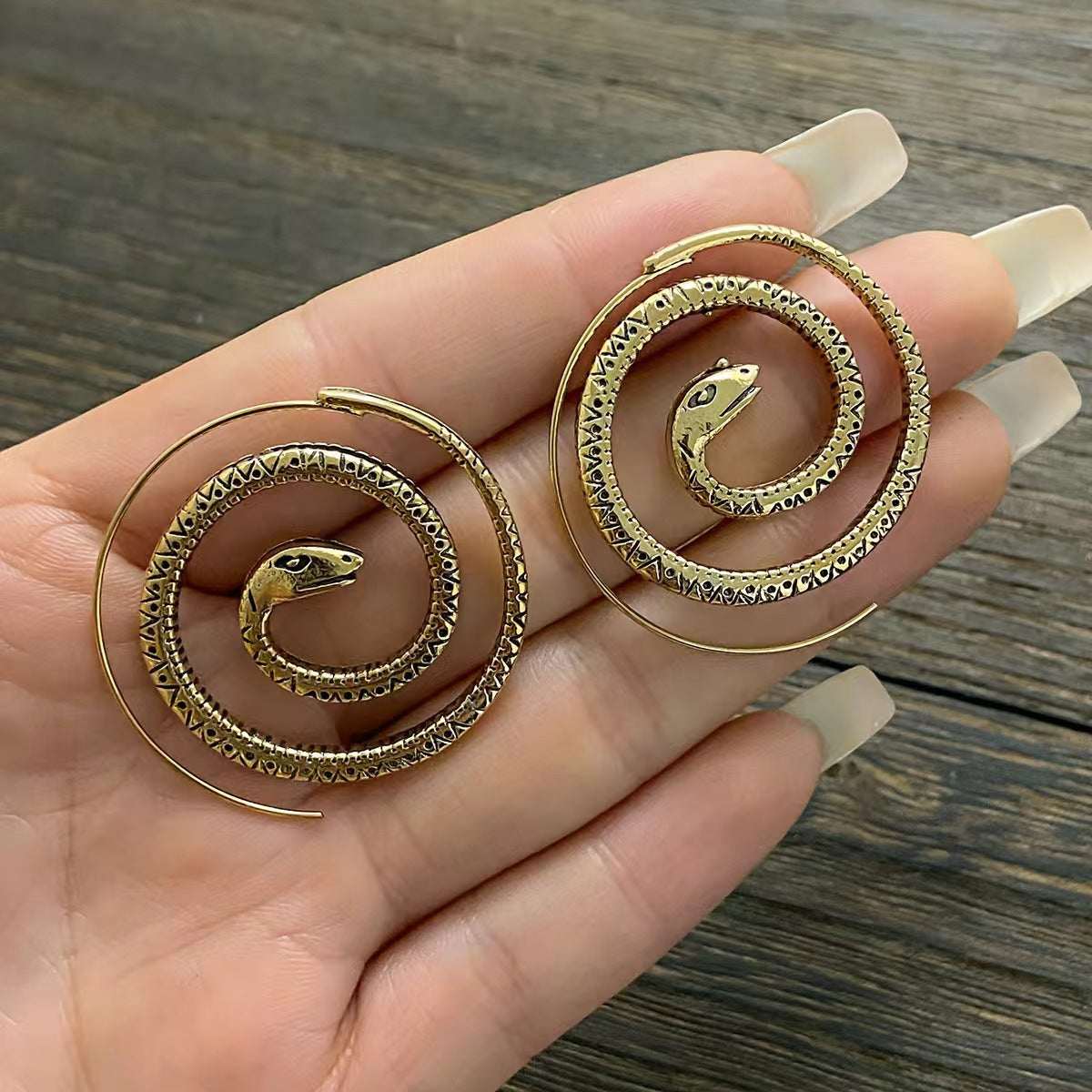 Stunning Earring for Daily Wear