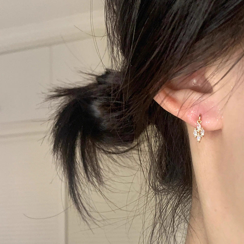 Beautiful Earring with Unique Style