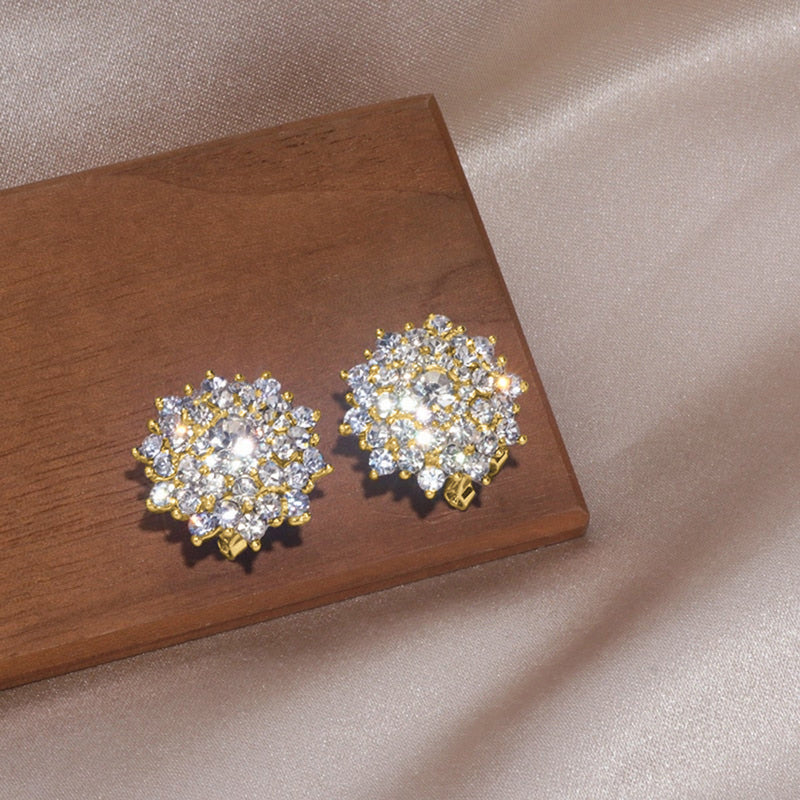 Beautiful Earring with Unique Style