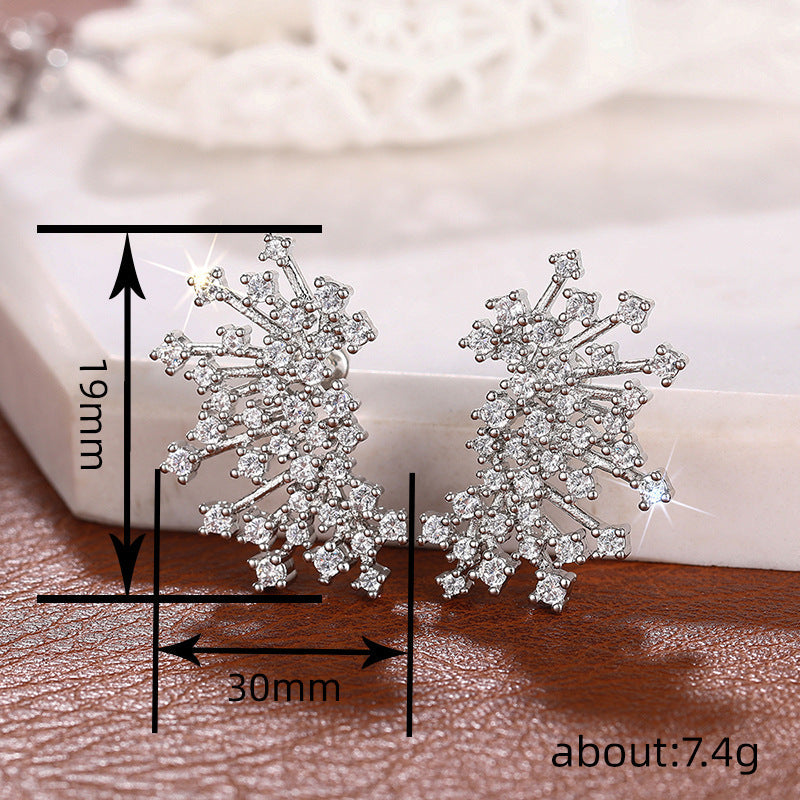 Charming Earring for Any Occasion