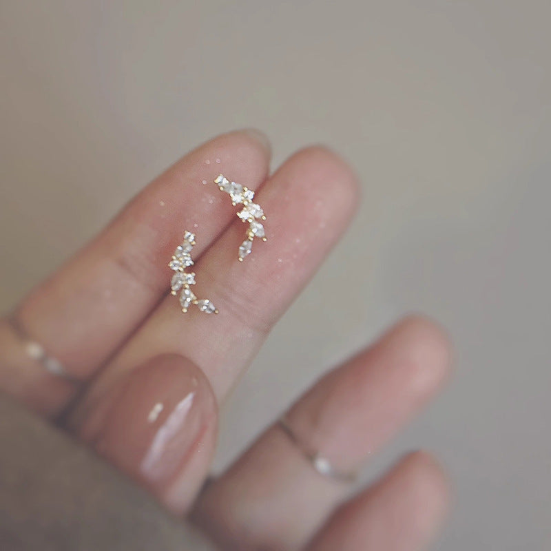 Romantic Earring for Special Moments