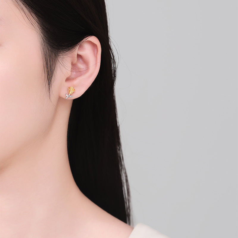 Stunning Earring for Daily Wear