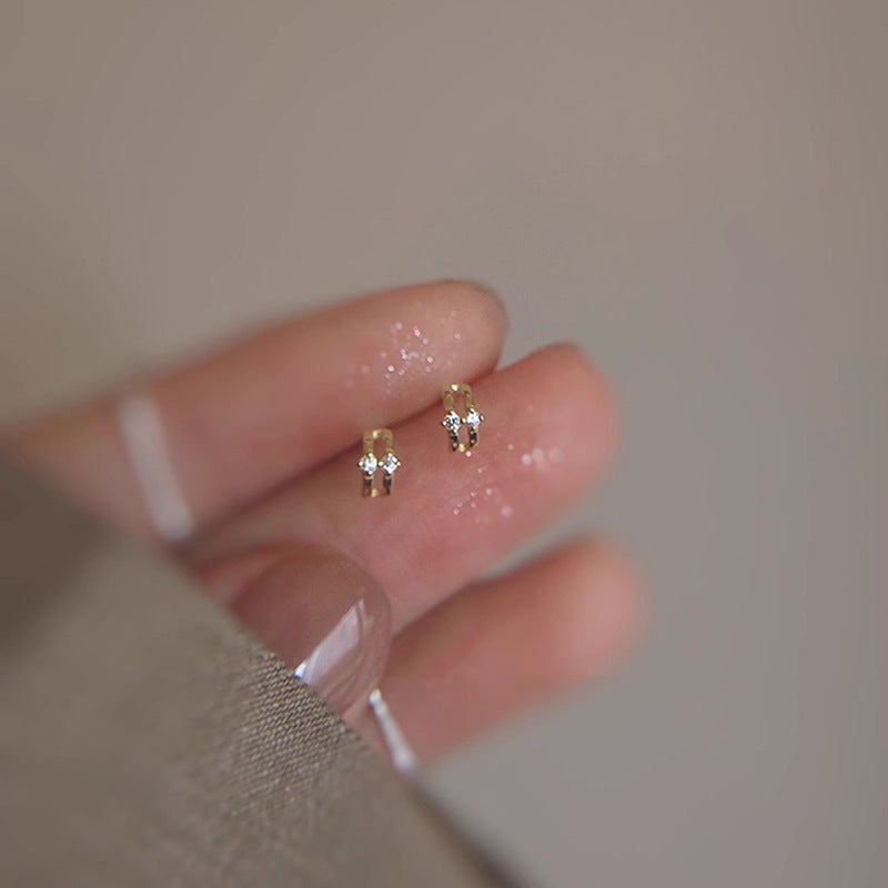 Charming Earring for Any Occasion