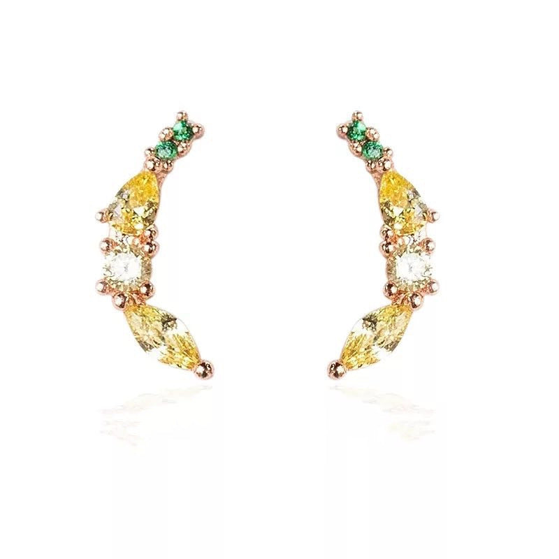 Classic Earring with Timeless Appeal