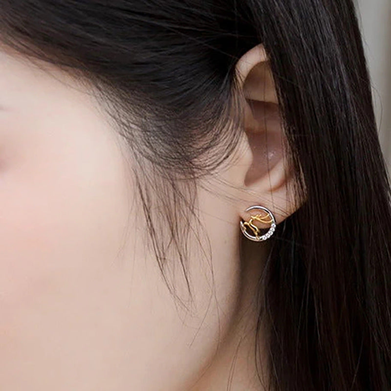 Charming Earring for Any Occasion