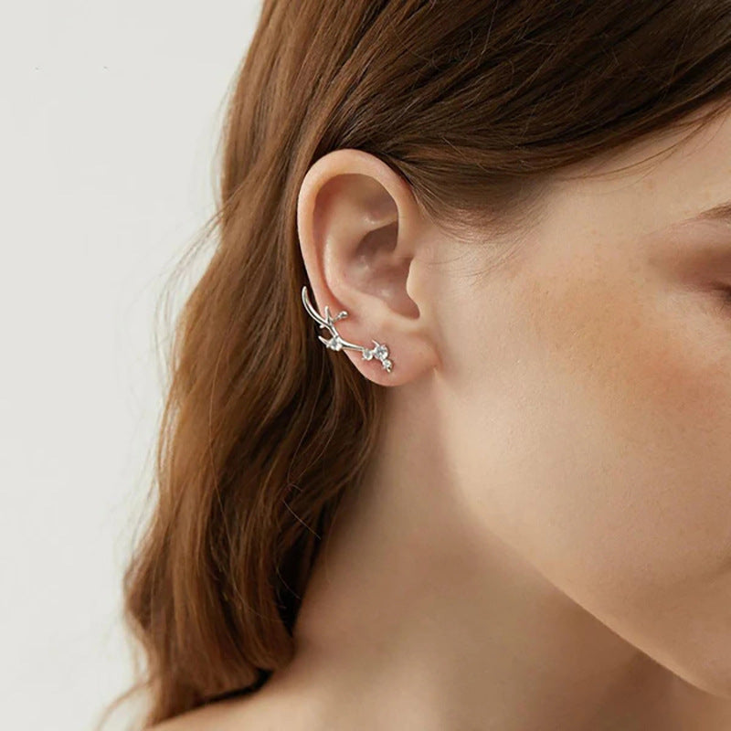 Charming Earring for Any Occasion