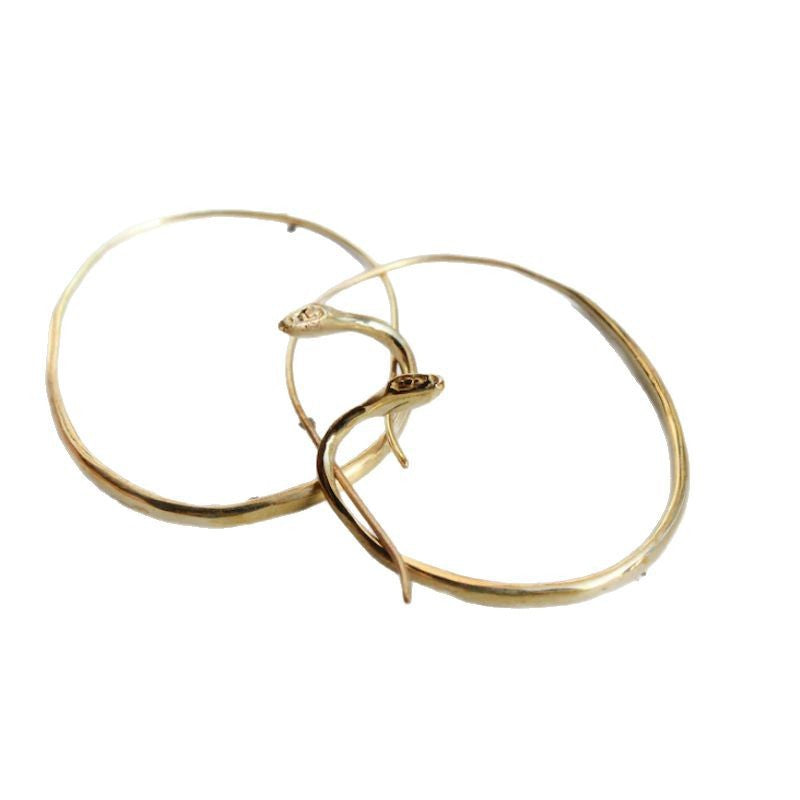Stunning Earring for Daily Wear