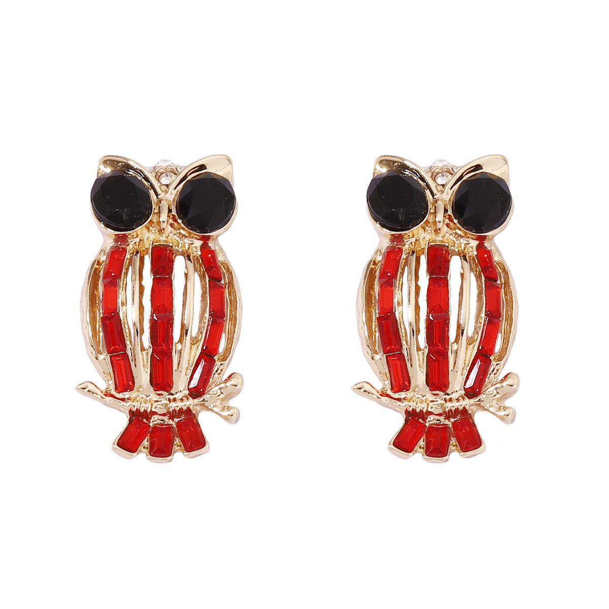 Charming Earring for Any Occasion