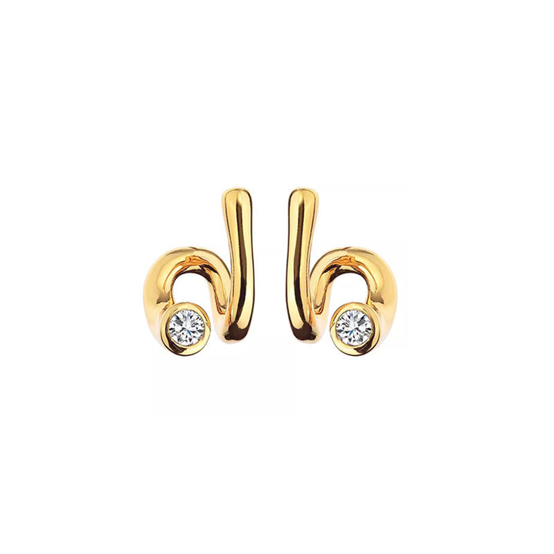 Elegant Earring for Every Occasion