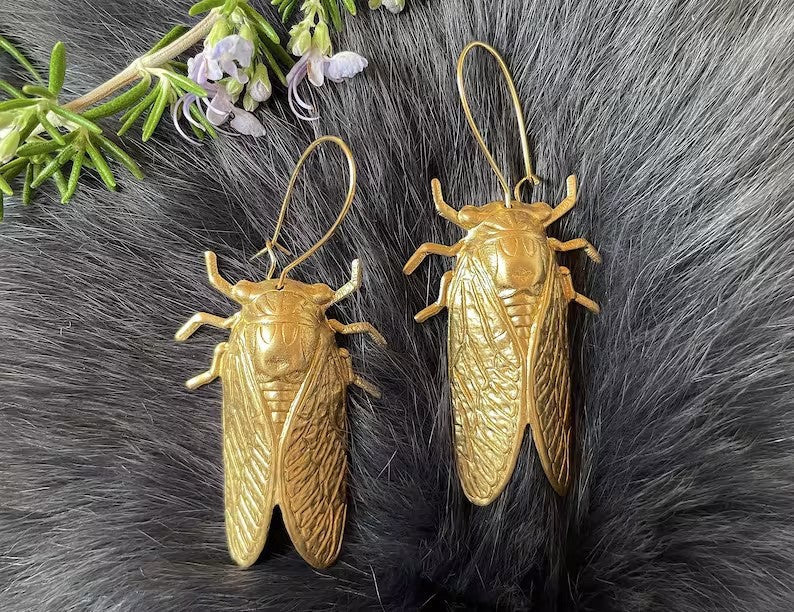 Stunning Earring for Daily Wear