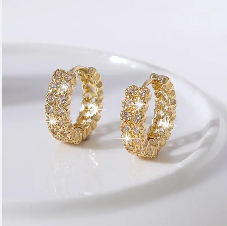 Beautiful Earring with Unique Style