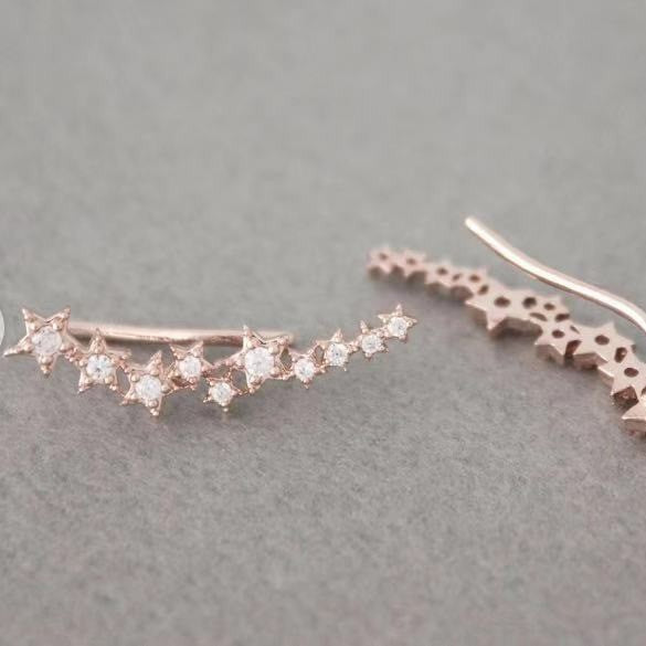 Stunning Earring for Daily Wear