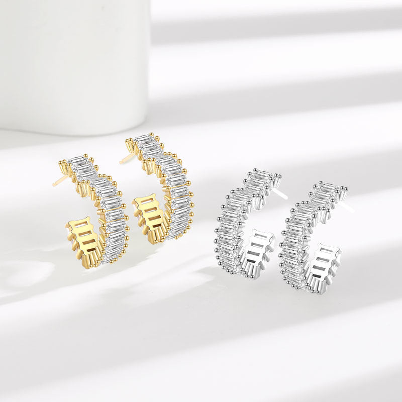 Charming Earring for Any Occasion