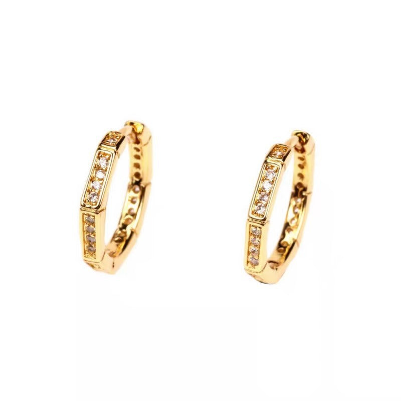 Beautiful Earring with Unique Style