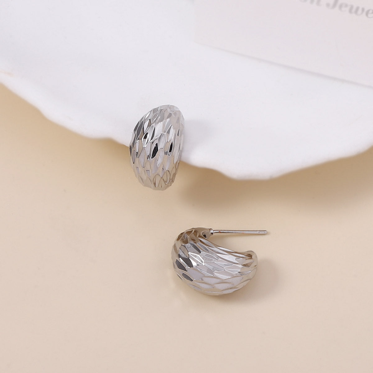 Charming Earring for Any Occasion