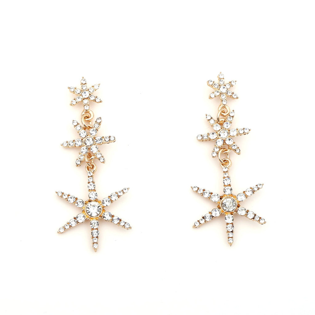 Charming Earring for Any Occasion