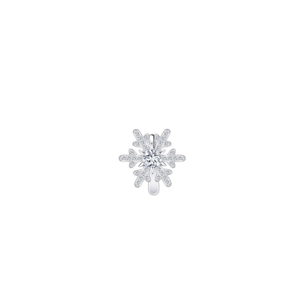 Charming Earring for Any Occasion