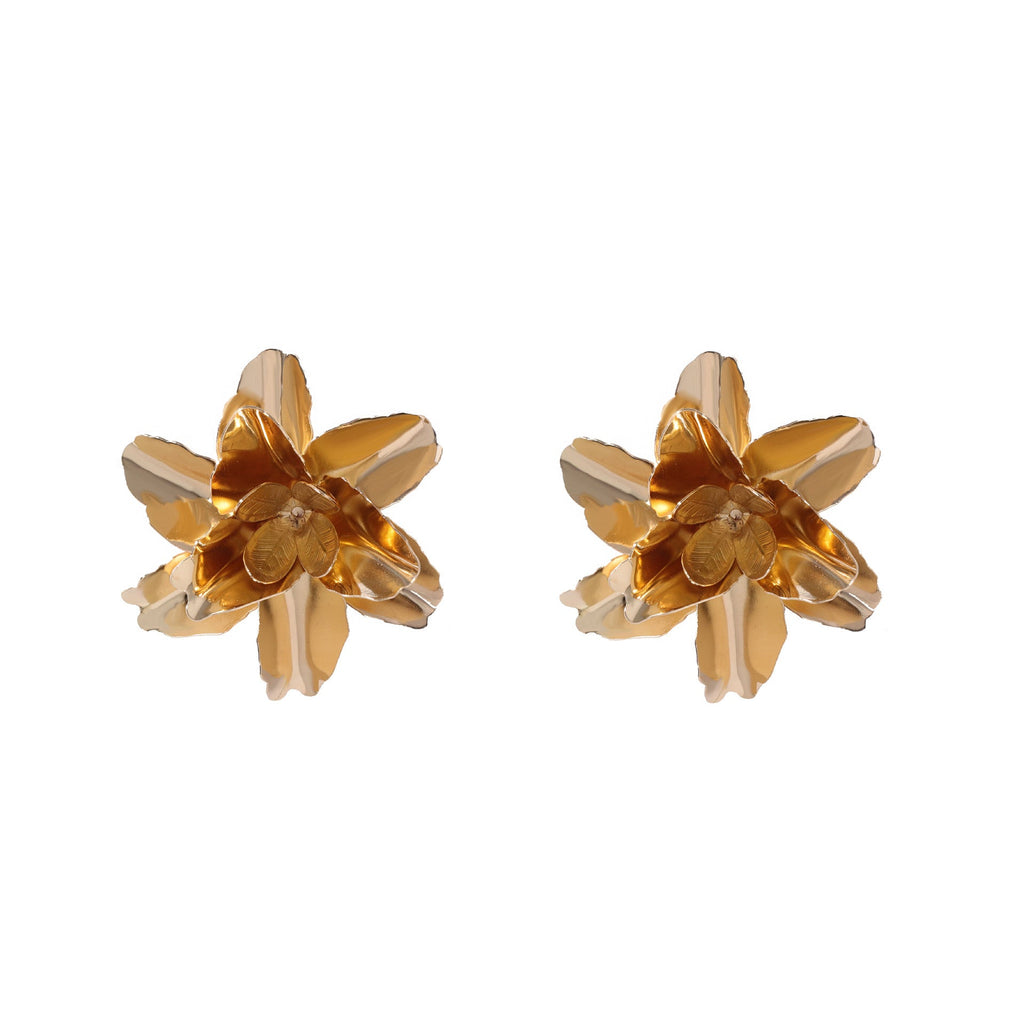 Classic Earring with Timeless Appeal