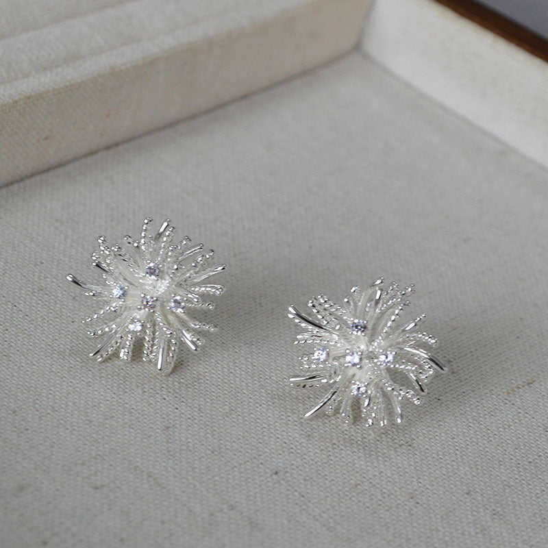 Beautiful Silver Earring with Unique Style