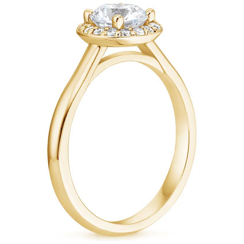 Classic Set with Timeless Appeal
