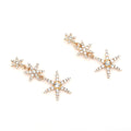 Charming Earring for Any Occasion