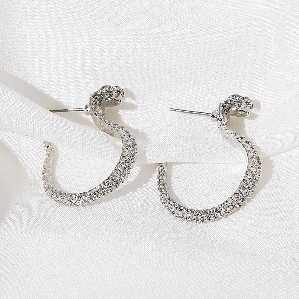 Elegant Earring for Every Occasion