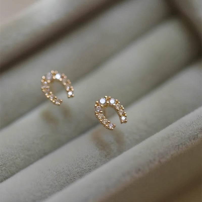 Classic Earring with Timeless Appeal