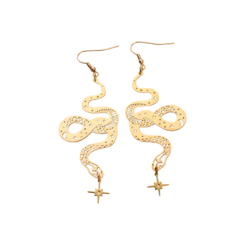 Beautiful Earring with Unique Style