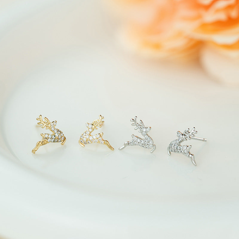 Charming Earring for Any Occasion