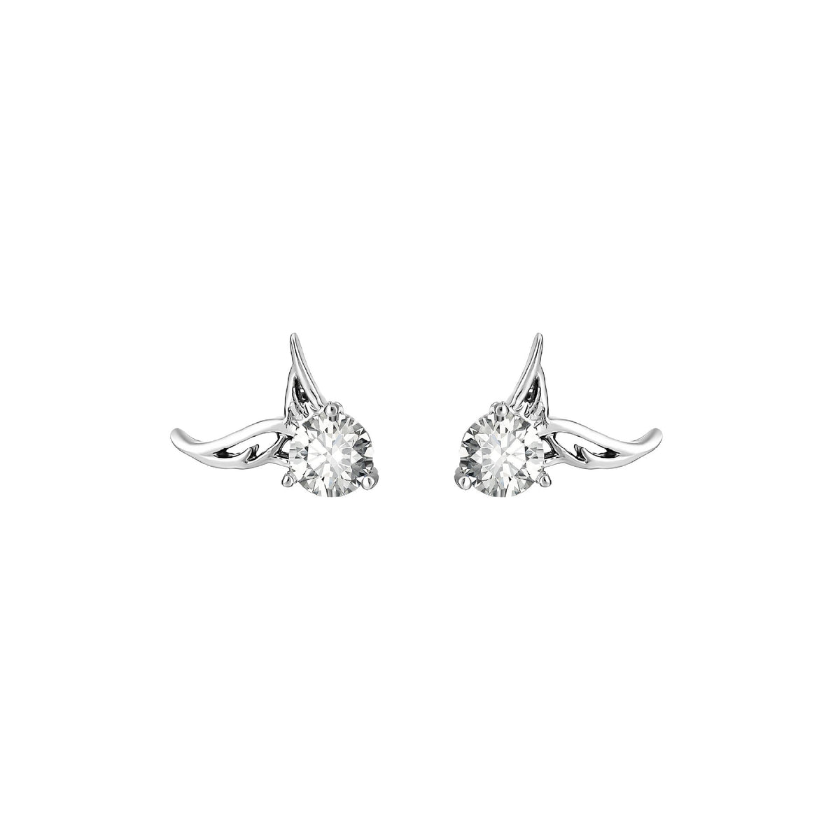 Charming Set for Any Occasion