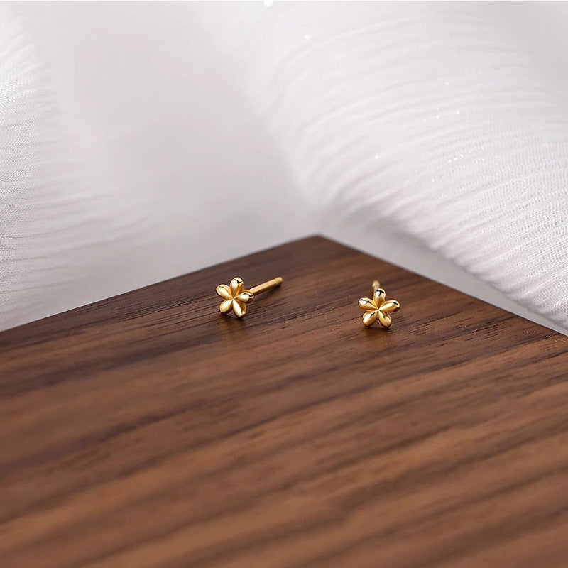 Classic Earring with Timeless Appeal