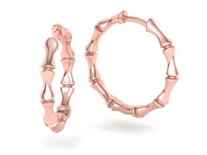 Charming Earring for Any Occasion