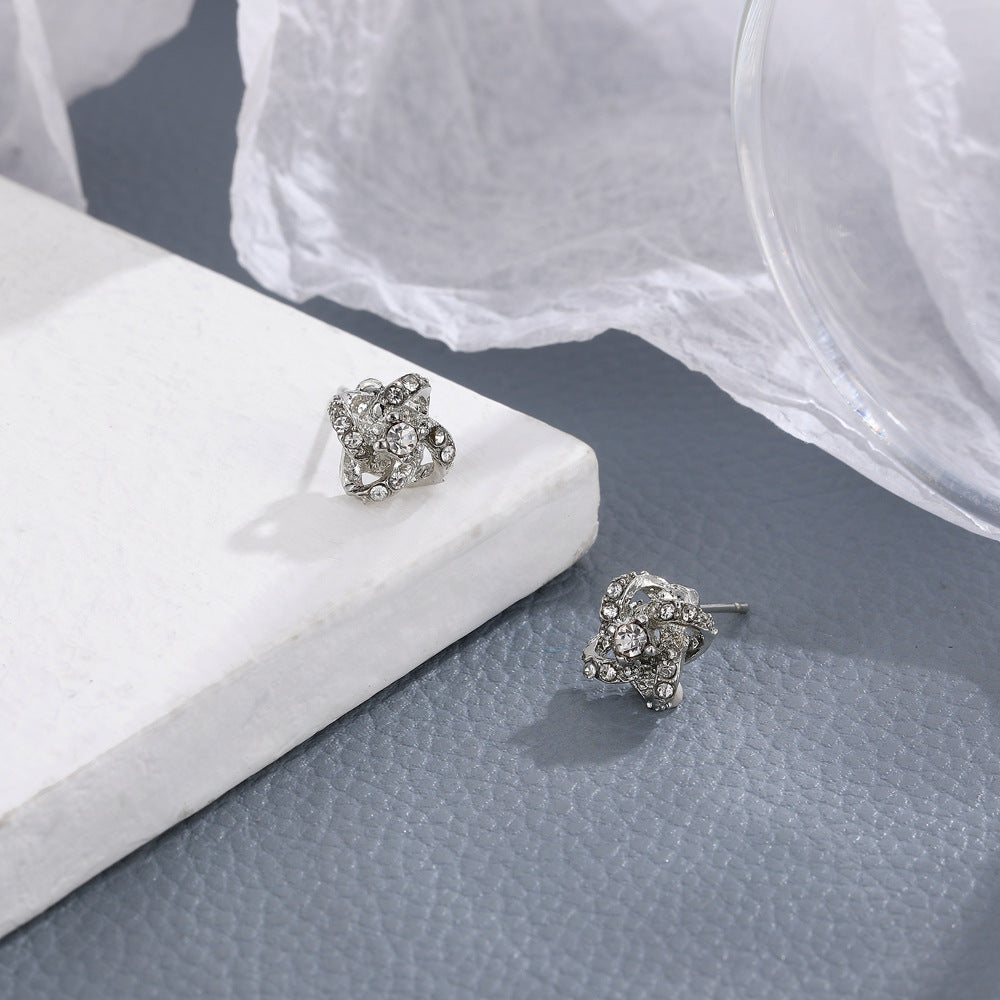 Charming Earring for Any Occasion