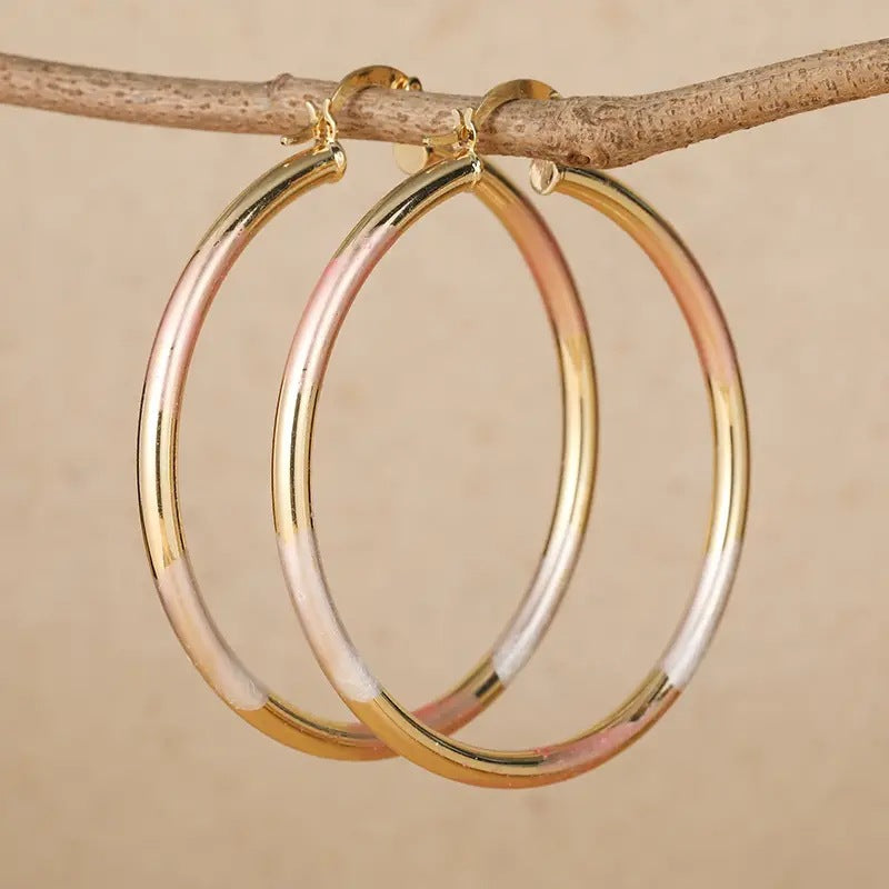 Classic Earring with Timeless Appeal
