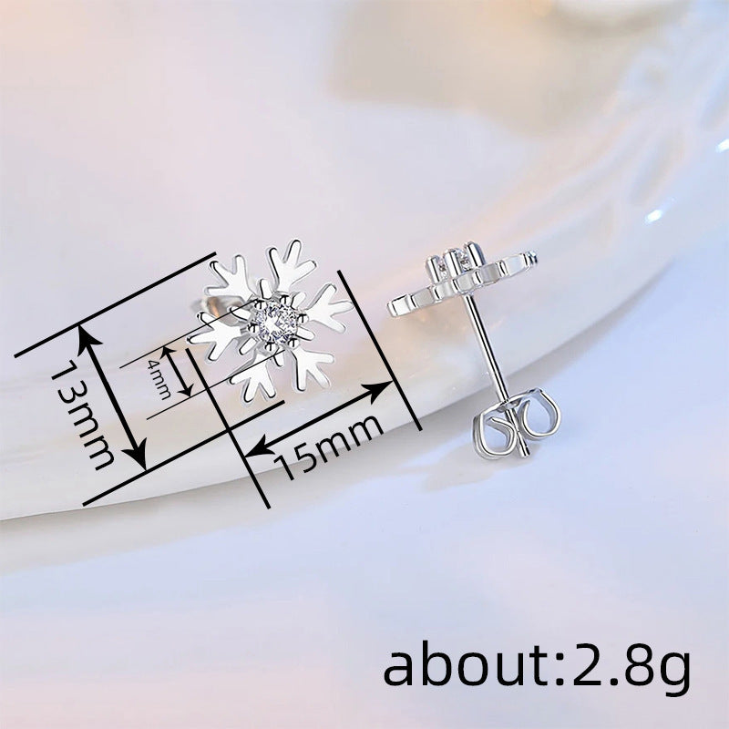 Beautiful Earring with Unique Style