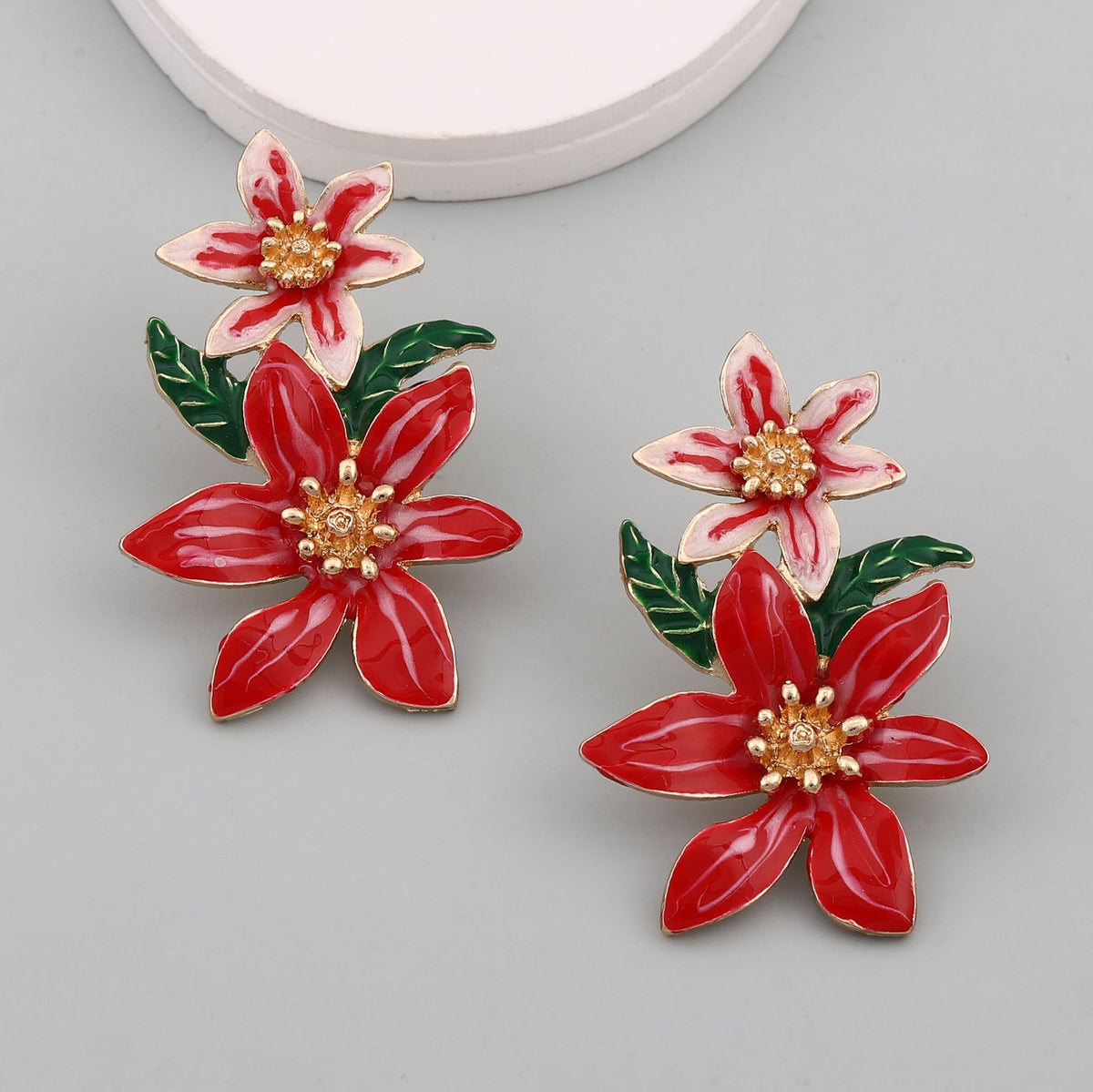 Charming Earring for Any Occasion