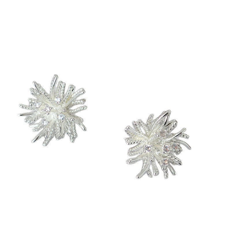 Beautiful Silver Earring with Unique Style