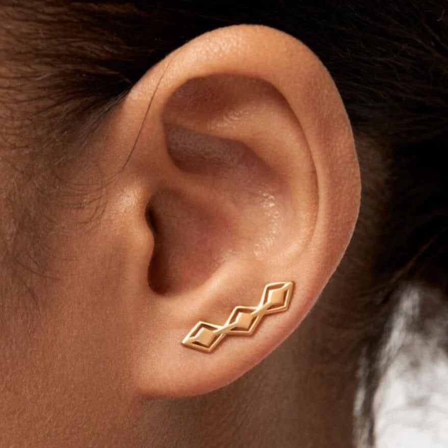 Stunning Earring for Daily Wear