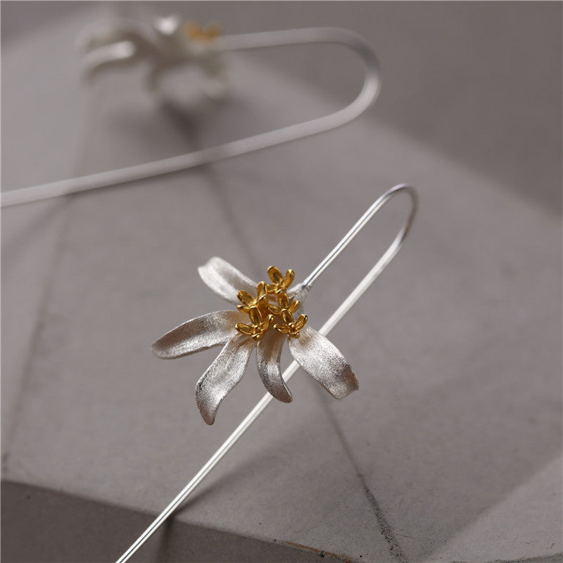 Beautiful Silver Earring with Unique Style