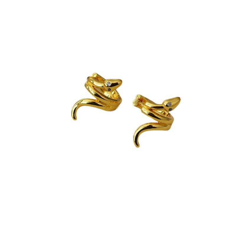 Charming Gold Earring for Any Occasion